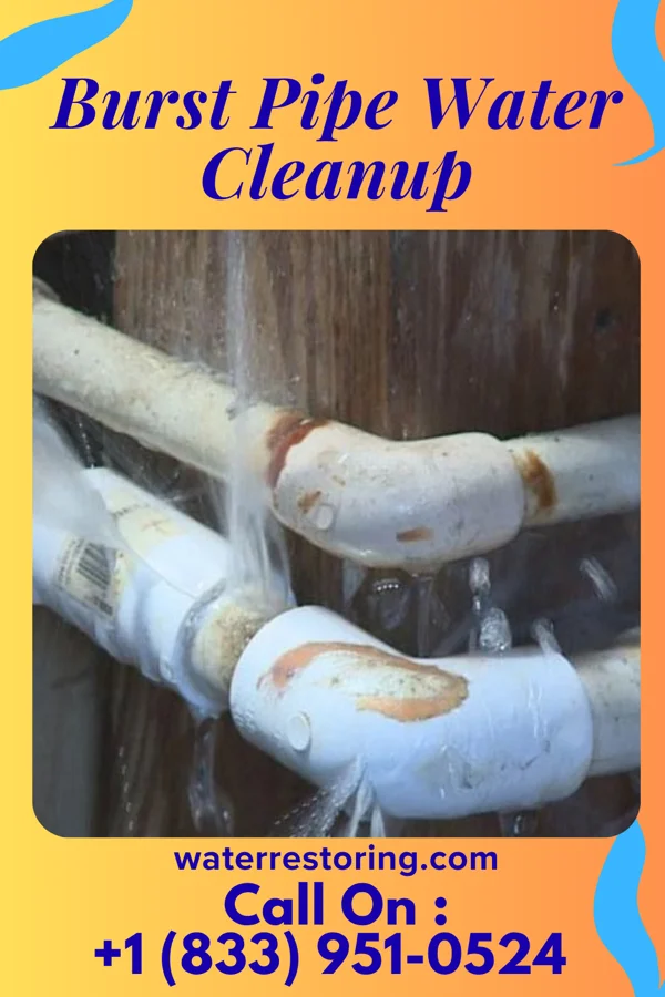 Burst Pipe Water Cleanup in Westphalia, MO