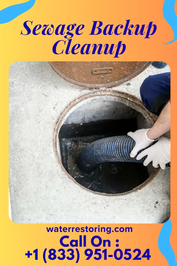 Sewage Backup Cleanup in Westphalia, MO