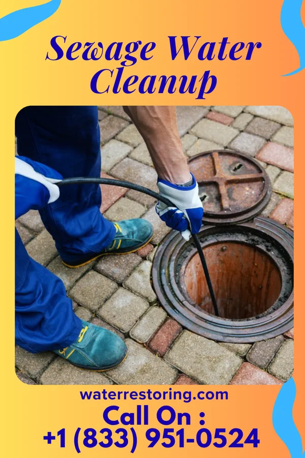 Sewage Water Cleanup in Westphalia, MO